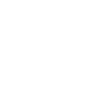 A-KULLEN Födda: 2016-07-20 3 hanar + 4 tikar Inavelsgrad: 2% HD-index: 86